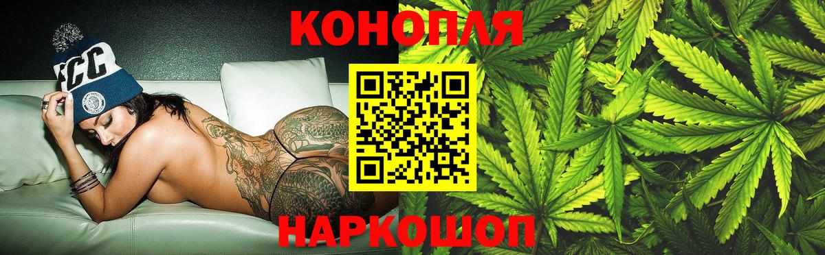 Конопля планчик  Конопля индика  Вход с VPN  Топки 